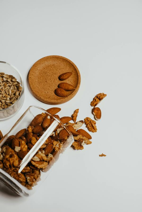 An illustration showing fiber moving through the digestive system, promoting regularity.