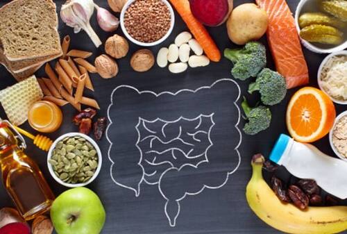 A spread of probiotic and prebiotic foods like yogurt, kimchi, garlic, onions, and bananas.